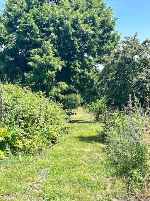 Cursan Beau Gite Dans Domaine Viticole & Arboricole מראה חיצוני תמונה